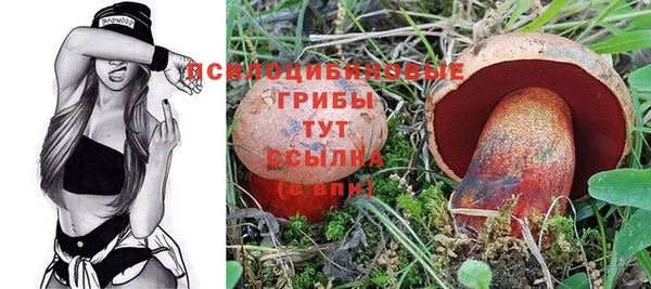 спайс Пересвет