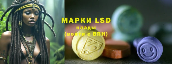 спайс Пересвет