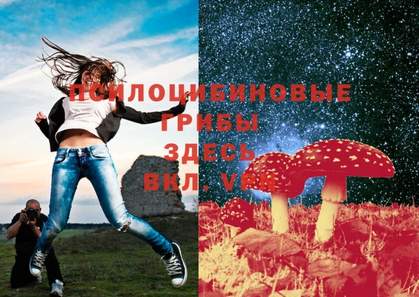 спайс Пересвет