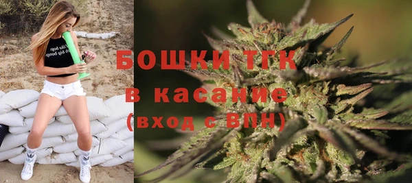 спайс Пересвет