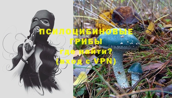 ГАЛЛЮЦИНОГЕННЫЕ ГРИБЫ Осташков