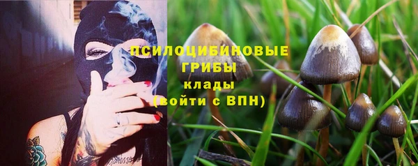 ГАЛЛЮЦИНОГЕННЫЕ ГРИБЫ Осташков