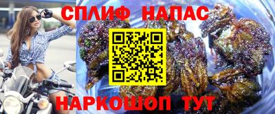 ПСИЛОЦИБИНОВЫЕ ГРИБЫ Среднеуральск